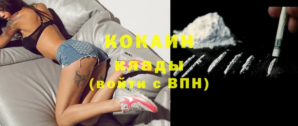 крисы Верея