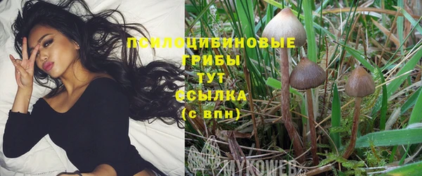 синтетический гашиш Бородино