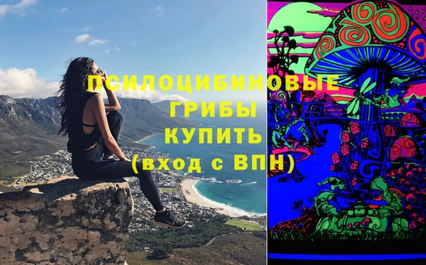 крисы Верея