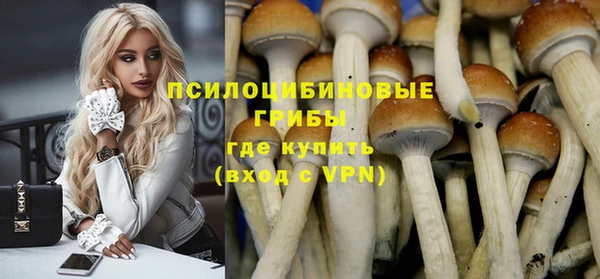 крисы Верея