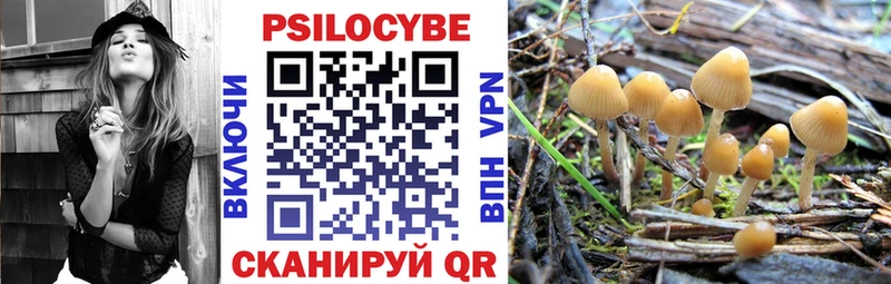 Псилоцибиновые грибы Magic Shrooms  Домодедово 